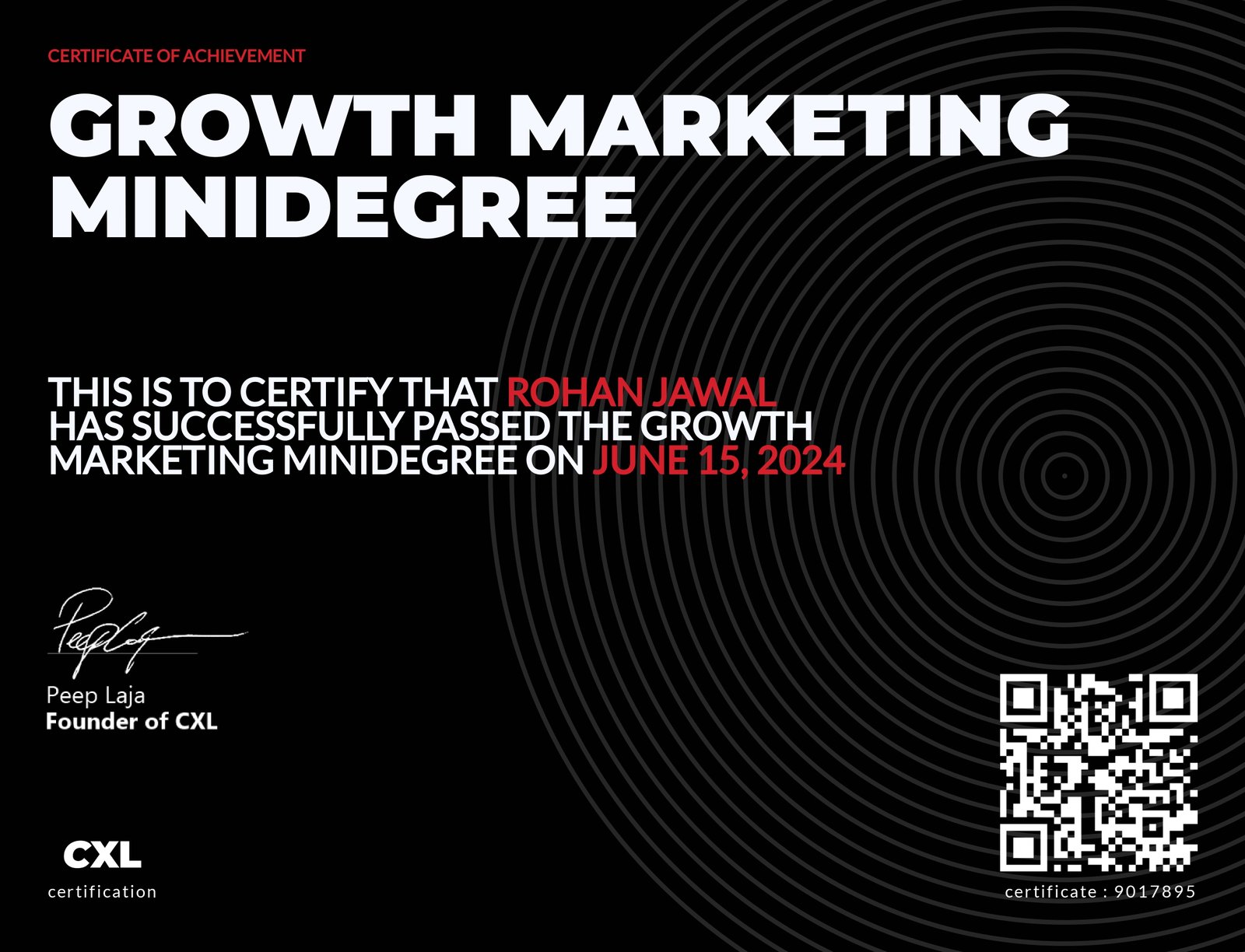 Growth Marketing Mini Degree (CXL)